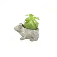 Concrete Frog Planter