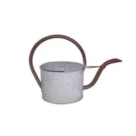 Oval Watering Can